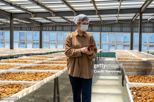 a female worker is working on a mobile phone in a candied food factory - food distribution warehouse stock pictures, royalty-free photos & images