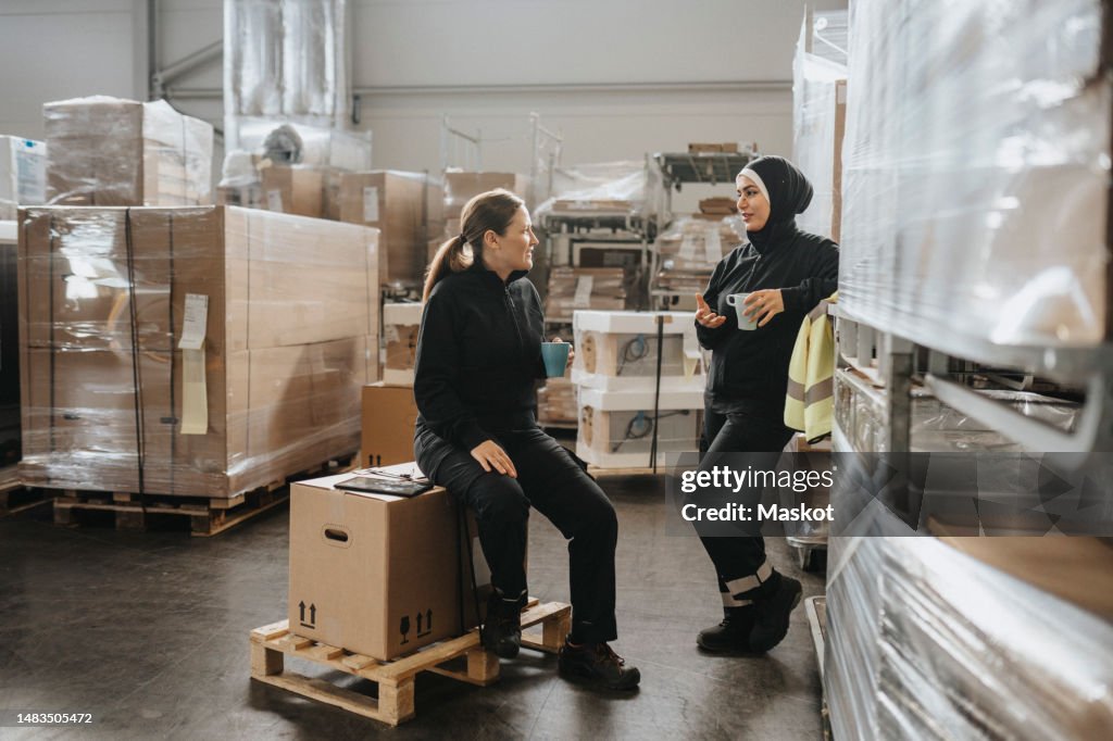 Female worker sitting on box while talking to colleague leaning on rack at warehouse