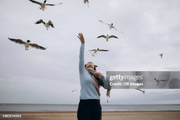 woman standing on beach surrounded by seagulls - vogelzwerm stockfoto's en -beelden