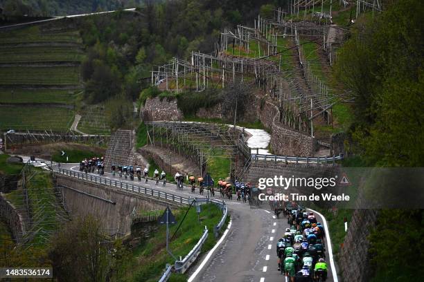 General view of the peloton passing through a vineyards field at Palù di Giovo during the 46th Tour of the Alps 2023, Stage 4 a 152.9km stage from...