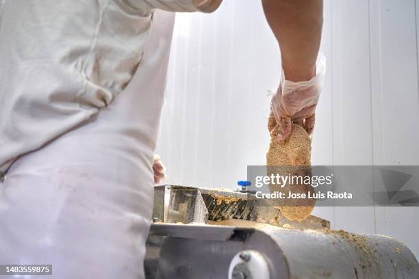 hands coating beef in breadcrumbs.preparing schnitzel - argentina steak fotografías e imágenes de stock