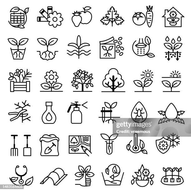 gardening and growing techniques, methods, instructions outline icons - bush icon stock illustrations