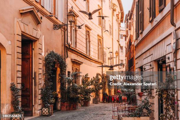 street with flying birds in rome historic old town on a sunny summer day, italy - trastevere ストックフォトと画像