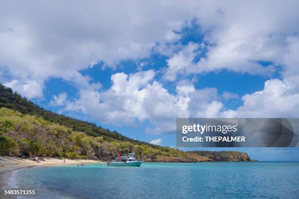 Puerto Ri 7,540 Puerto Rico (Island) Stock Photos, High-Res Pictures, and Images ...