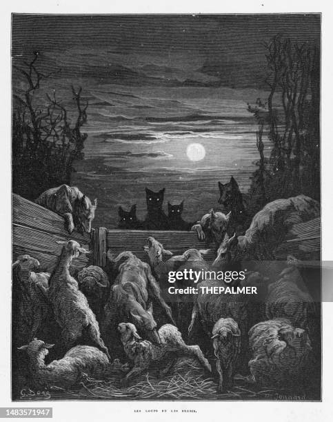 ilustrações de stock, clip art, desenhos animados e ícones de the wolves and the sheep  - original engraving from "fables de la fontaine" 1868 - wolf moon