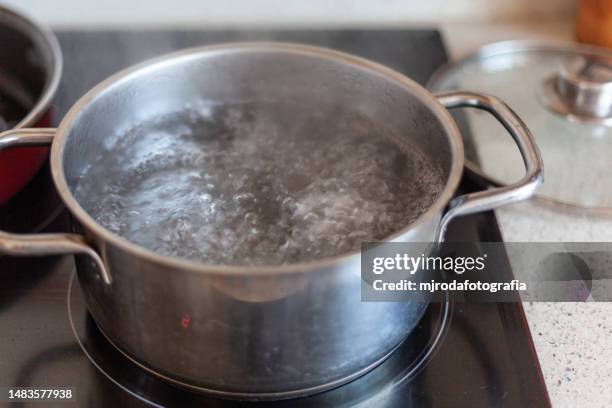 boiling water in a pot - bollente foto e immagini stock