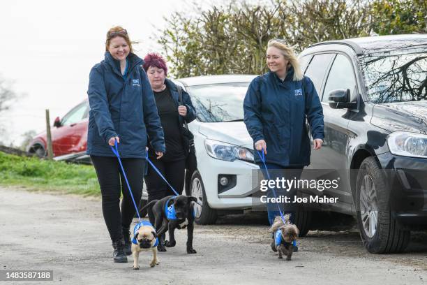 Handlers and dogs from Battersea Dogs Home attend the funeral of Paul O'Grady on April 20, 2023 in Aldington, England. The British entertainer, known...