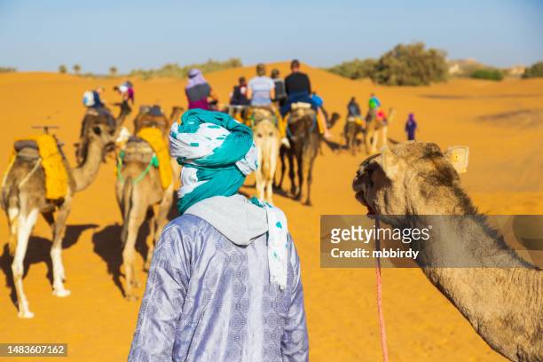 tourists riding camels in the desert, merzouga, erg chebbi, sahara, morocco - merzouga stockfoto's en -beelden