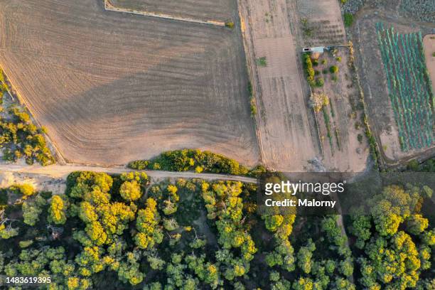 aerial view. trees and fields in spain - formentera stock pictures, royalty-free photos & images