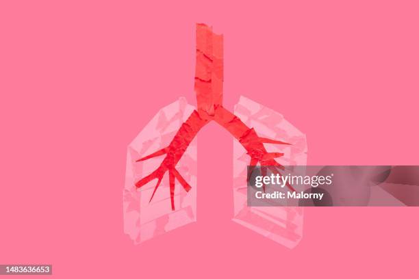 human lungs made of adhesive tape. - bronchialbaum stock-fotos und bilder