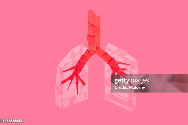 human lungs made of adhesive tape. - neumonía fotografías e imágenes de stock
