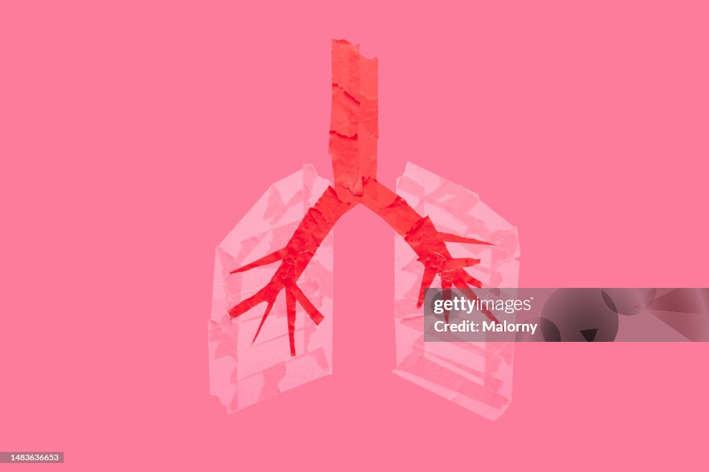 Human lungs made of adhesive tape.