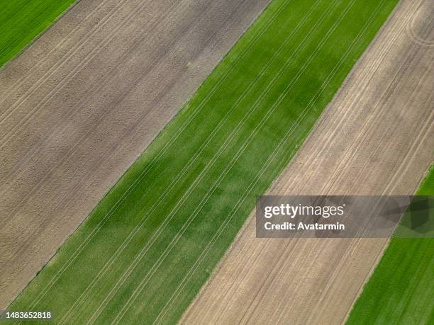 field - sod field stock pictures, royalty-free photos & images