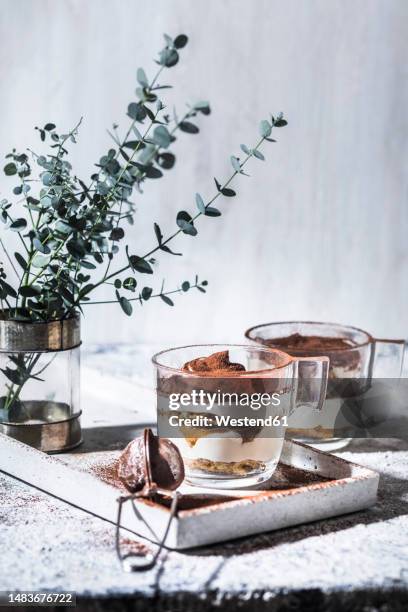 tiramisu dessert in glass mugs on table - ティラミス　ガラス ストックフォトと画像