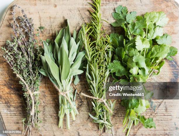 variety of fresh green herbs on wooden table at home - thyme stock pictures, royalty-free photos & images