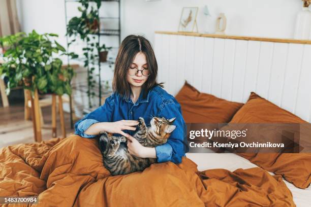 teenage girl with brown curly hair sits on sofa, wrapped in blanket, smiles sweetly, hugs beloved domestic gray cat, which purrs. showing love for pets while in cozy home, real people - curly brown hair stock pictures, royalty-free photos & images