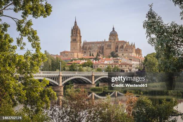 spain, castilla y leon, salamanca, arch bridge stretching over river with new cathedral in background - salamanca stock pictures, royalty-free photos & images