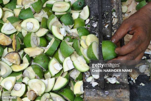 An Indian labourer, who earns approximately 300 to 400 Indian rupees per day, cuts raw mangoes which are used for pickles at the road side in...