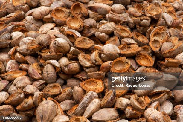 close-up of dried coconut shells and husks - husk stockfoto's en -beelden