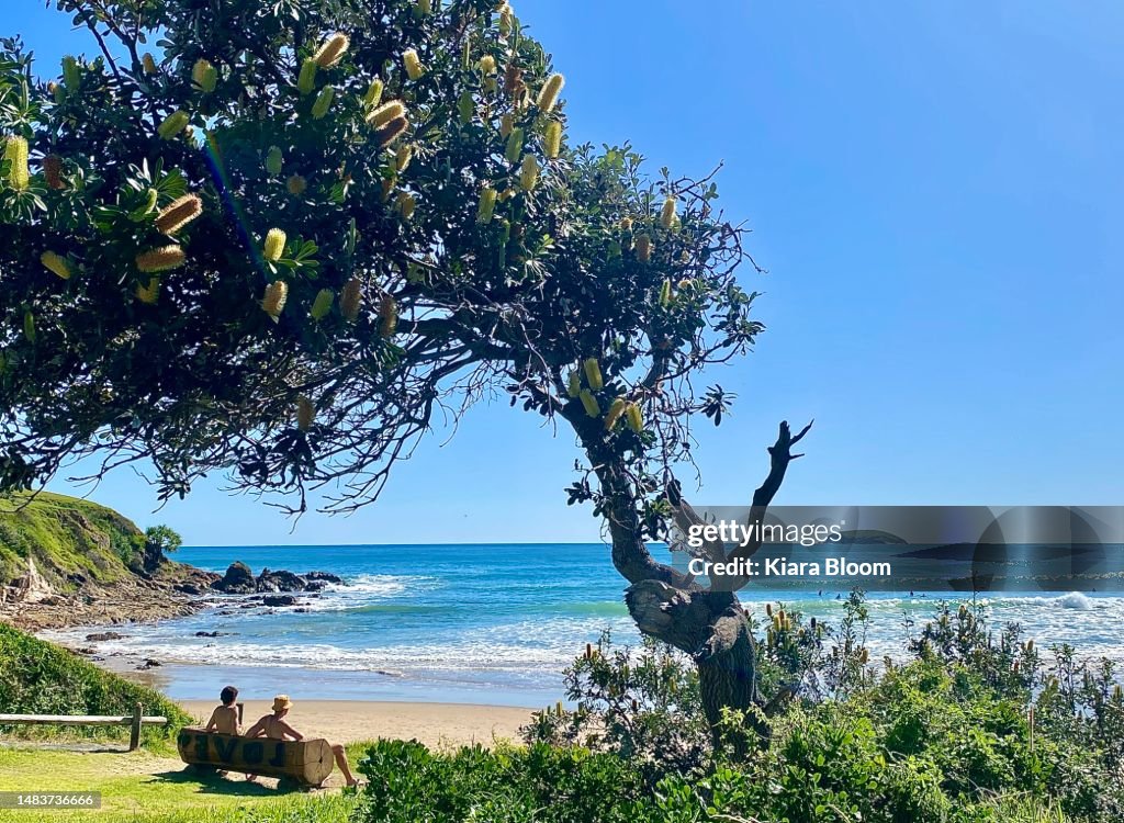 Weekend Beach Views