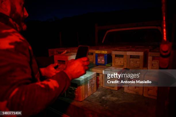 Gianluca and Marco collect on the pick-up the beehives with Italian honey bees , at the bee mating area, on April 19, 2023 in Ponza, Italy. A mating...