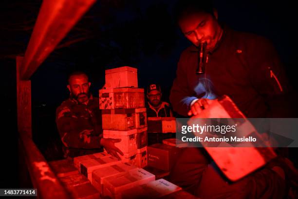 Gianluca, Wiliam and Marco collect on the pick-up the beehives with Italian honey bees , at the bee mating area, on April 19, 2023 in Ponza, Italy. A...