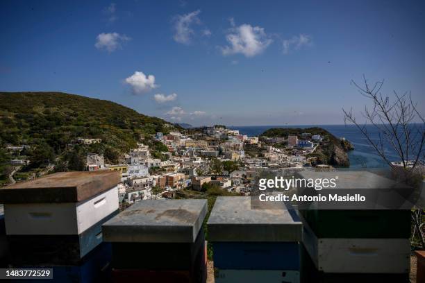 General view shows the beehives with Italian honey bees at the apiary on the island managed by the beekeeper Gianluca Infante, on April 19, 2023 in...