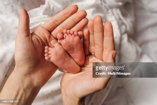 mother’s hands holding new born baby’s feet - little feet stock pictures, royalty-free photos & images