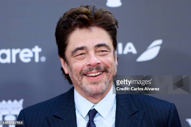 Actor Benicio Del Toro attends the photocall for the "Platino De Honor" award at the InterContinental Hotel on April 21, 2023 in Madrid, Spain.