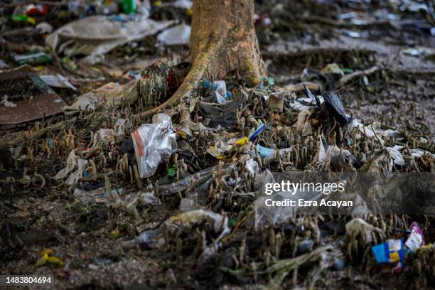 Plastic waste is seen on mangroves at Freedom Island on April 19, 2023 in Paranaque, Metro Manila, Philippines. The Philippines is the largest ocean...