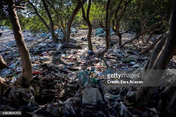 Plastic waste is seen on mangroves at Freedom Island on April 19, 2023 in Paranaque, Metro Manila, Philippines. The Philippines is the largest ocean...