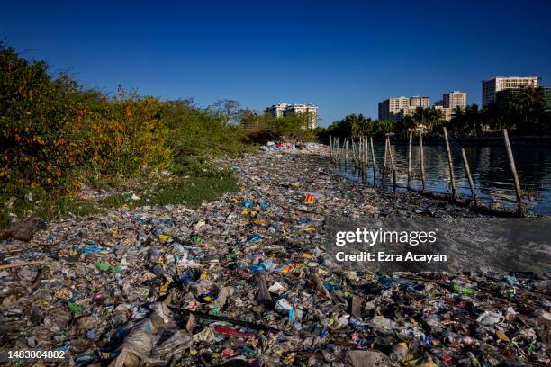 Plastic waste fills a beach at Freedom Island on April 19, 2023 in Paranaque, Metro Manila, Philippines. The Philippines is the largest ocean...