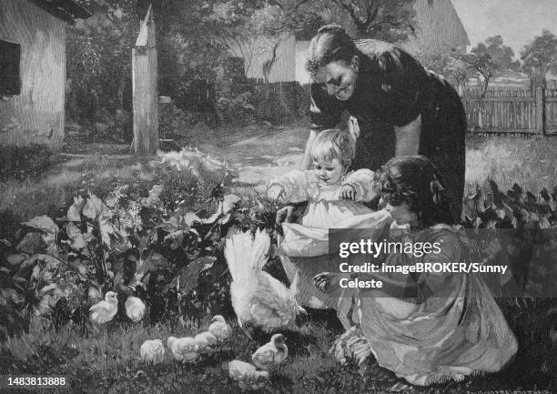 stockillustraties, clipart, cartoons en iconen met grandmother showing the baby the freshly hatched chicks, chickens, in the garden, 1880, germany, historic, digital reproduction of an original 19th-century painting, original date not known - baby chicken