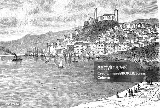 stockillustraties, clipart, cartoons en iconen met view of the city of cannes in the south of france, france, in 1880, historic, digitally restored reproduction of an original 19th century original - cannes