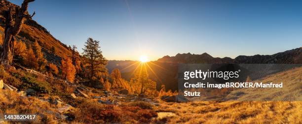 sunrise over alpe alzasca in autumn, canton ticino, switzerland - ticino canton 個照片及圖片檔