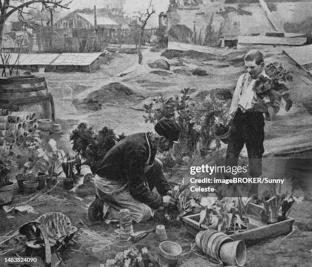 spring work, gardener with his apprentice potting spring flowers in the nursery, germany, 1898, historic, digital reproduction of an original 19th-century image - flower market stock illustrations