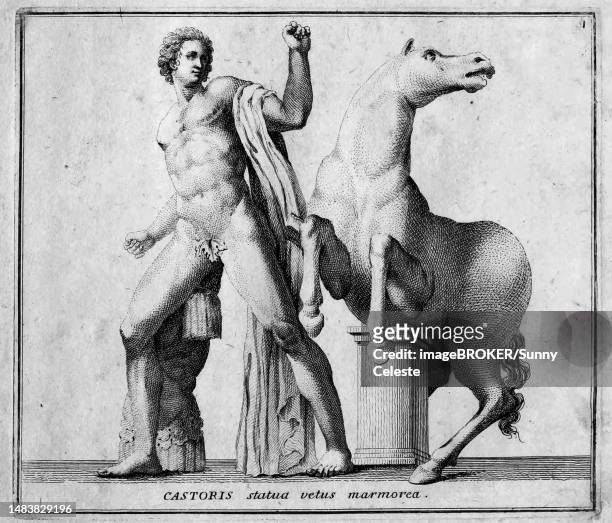 castor, one of the sons of zeus, with his horse, after a marble statue in the piazza di monte cavallo, historic rome, italy, digital reproduction of an 18th century original, original date not known - a caballo stock-grafiken, -clipart, -cartoons und -symbole