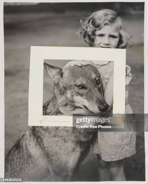 Young girl embracing what appears to be a wolf, circa 1935. The photographic print has been rephotographed with a rectangular paper crop marker.