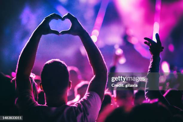 multitud en una fiesta de conciertos. - concierto rock fotografías e imágenes de stock