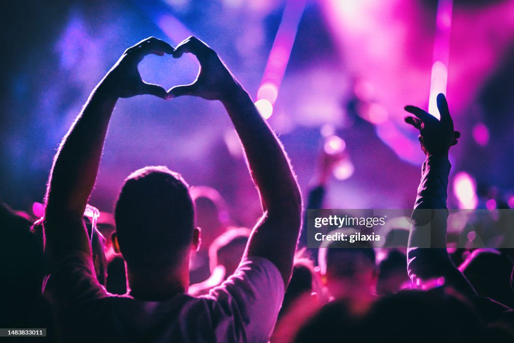 Crowd at a concert party.