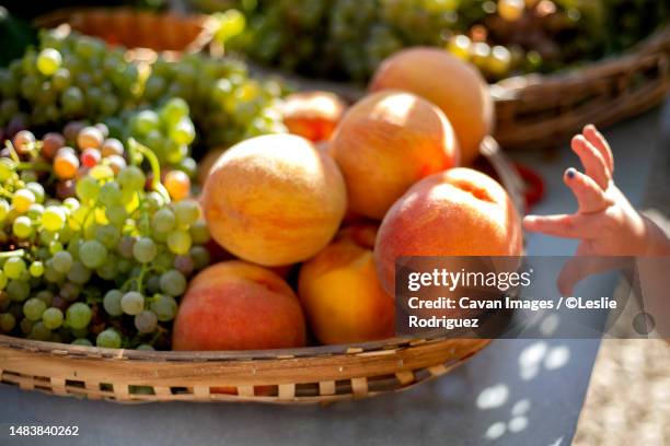 little hands ready to eat - leslie stock pictures, royalty-free photos & images