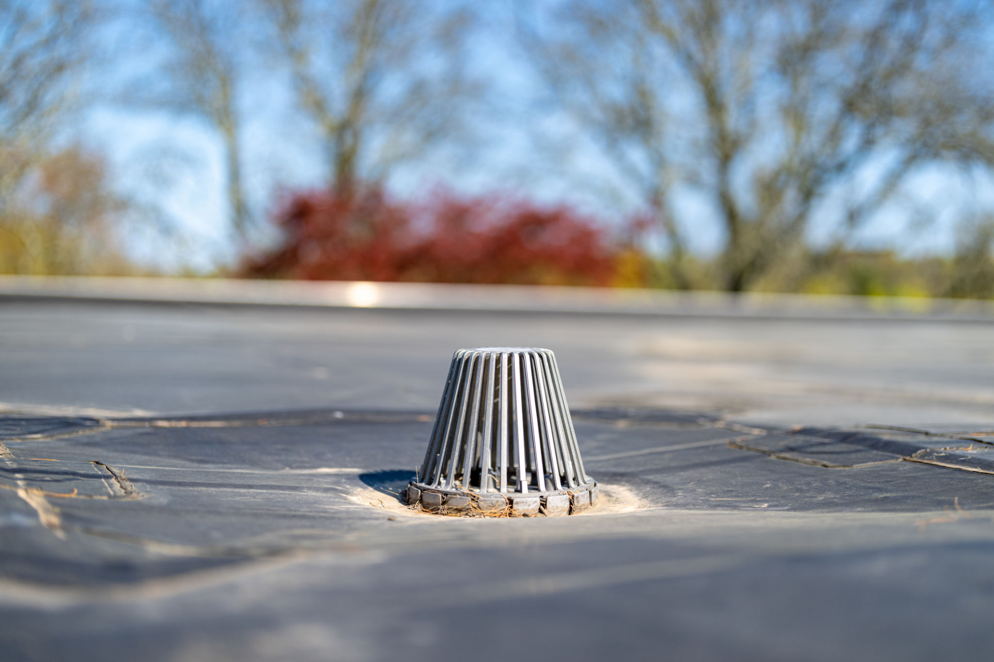roof drainage system