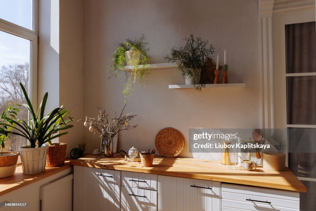 White kitchen interior with wooden countertop