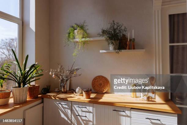 white kitchen interior with wooden countertop - sunbeam flower stock pictures, royalty-free photos & images