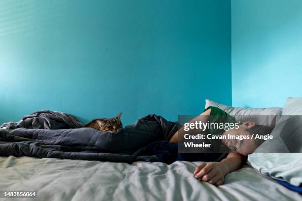 teen boy asleep with his tabby cat - sleeping boys stockfoto's en -beelden