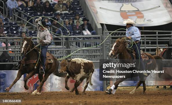 Steer Roping Ropes David Key and Clay O'Brien Cooper try to rope a steer during the team ...