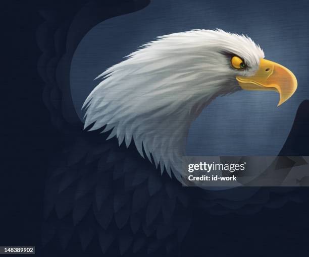 bald eagle gazing - bald eagle wings stock illustrations