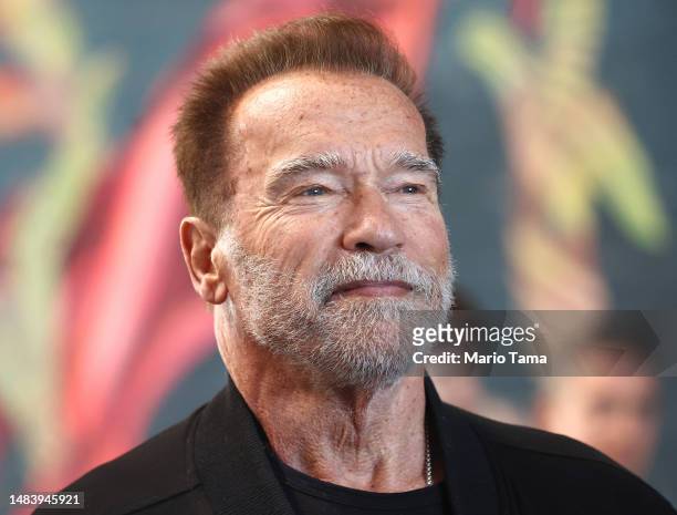Former California Governor Arnold Schwarzenegger attends an event marking the completion of a 4-acre solar rooftop constructed atop AltaSea's...