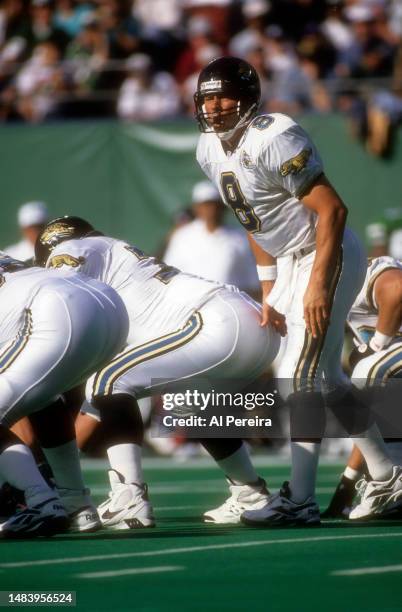 Quarterback Mark Brunell of the Jacksonville Jaguars calls a play in the game between the Jacksonville Jaguars vs the New York Jets on September 17,...