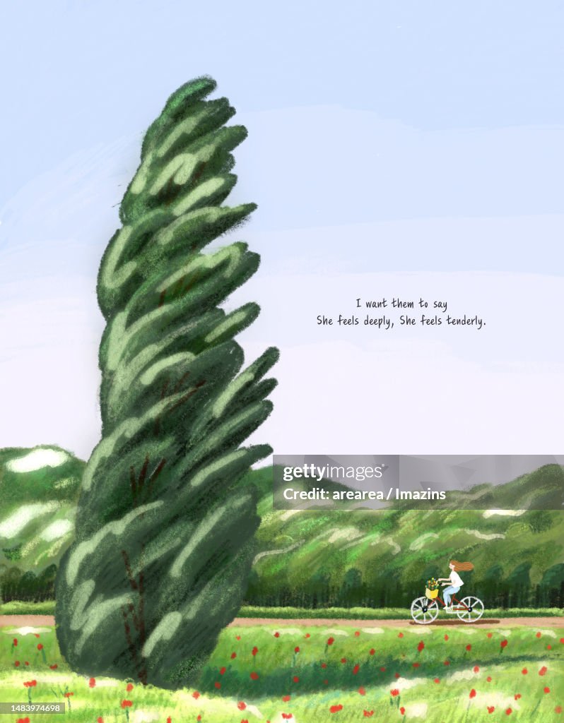 Season, forest, trees, landscape, bike